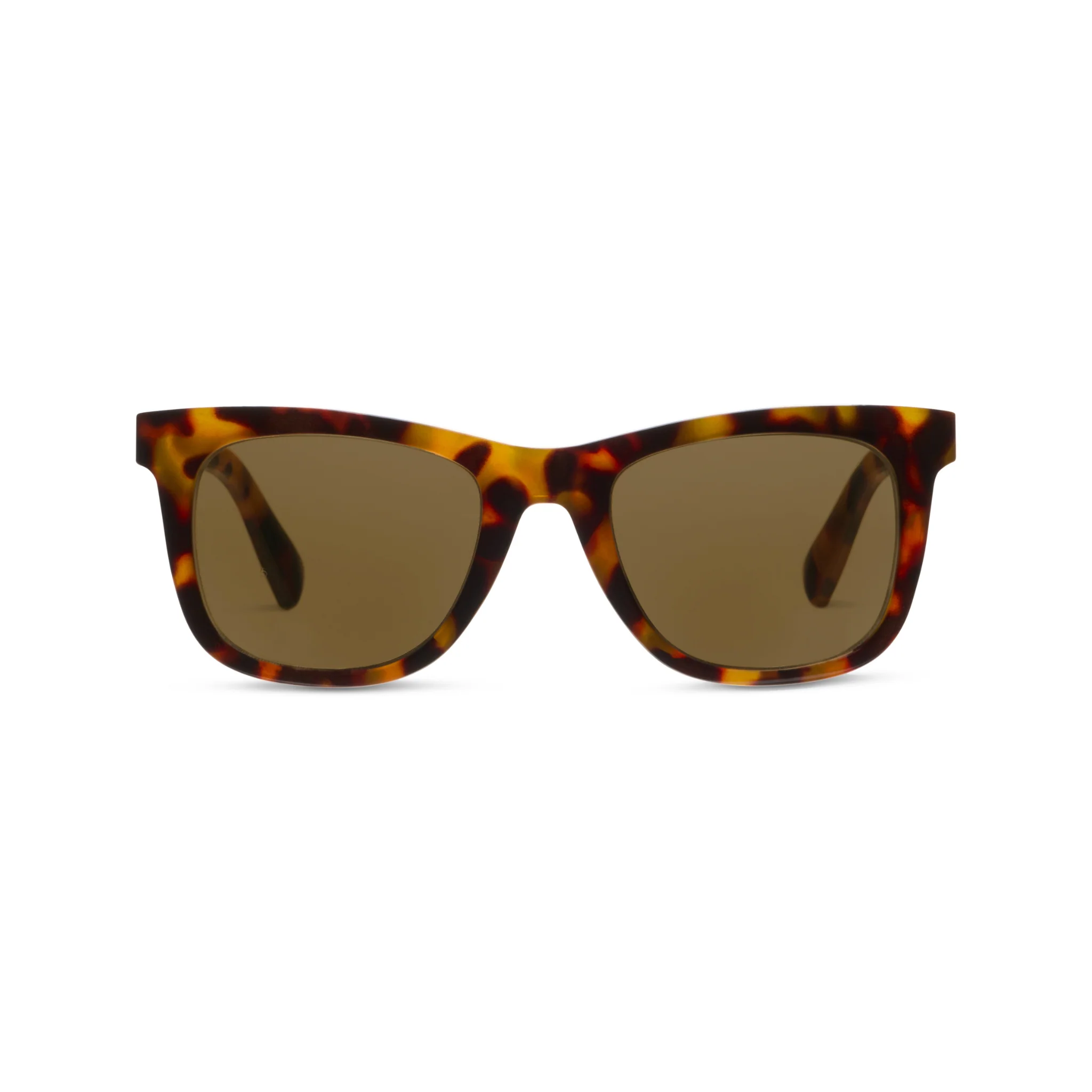 New Sun Arrivals